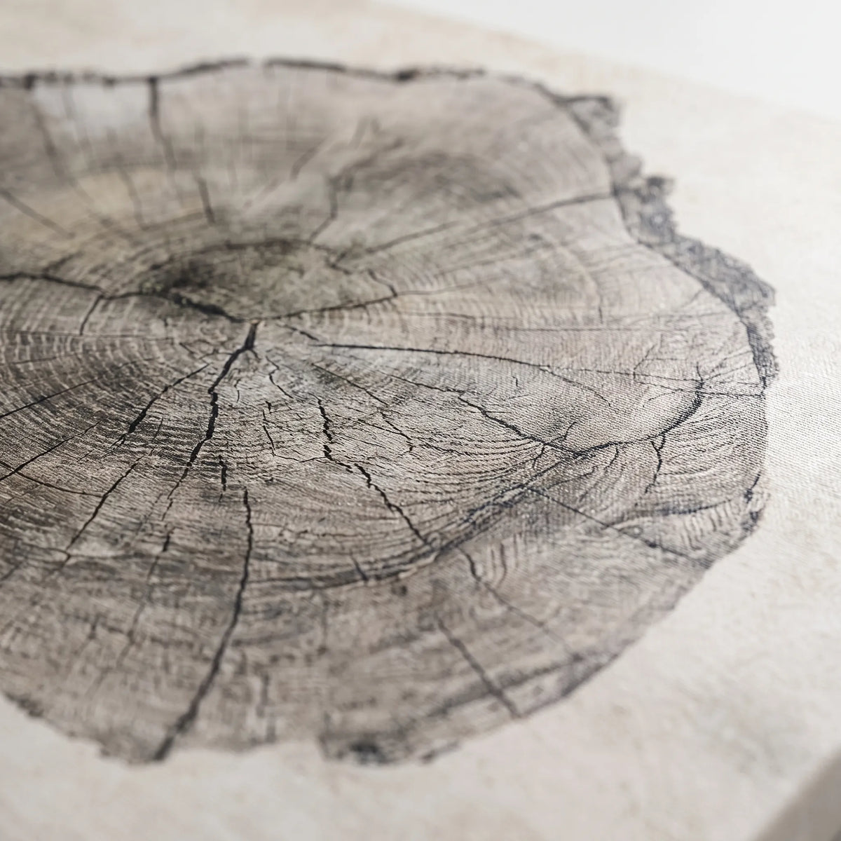 ArboraArt - Abstract Tree Ring Canvas Wall Art