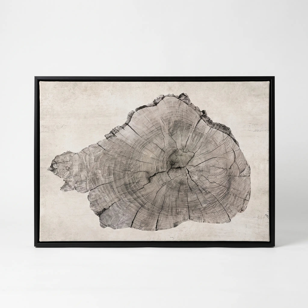 ArboraArt - Abstract Tree Ring Canvas Wall Art