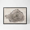 ArboraArt - Abstract Tree Ring Canvas Wall Art
