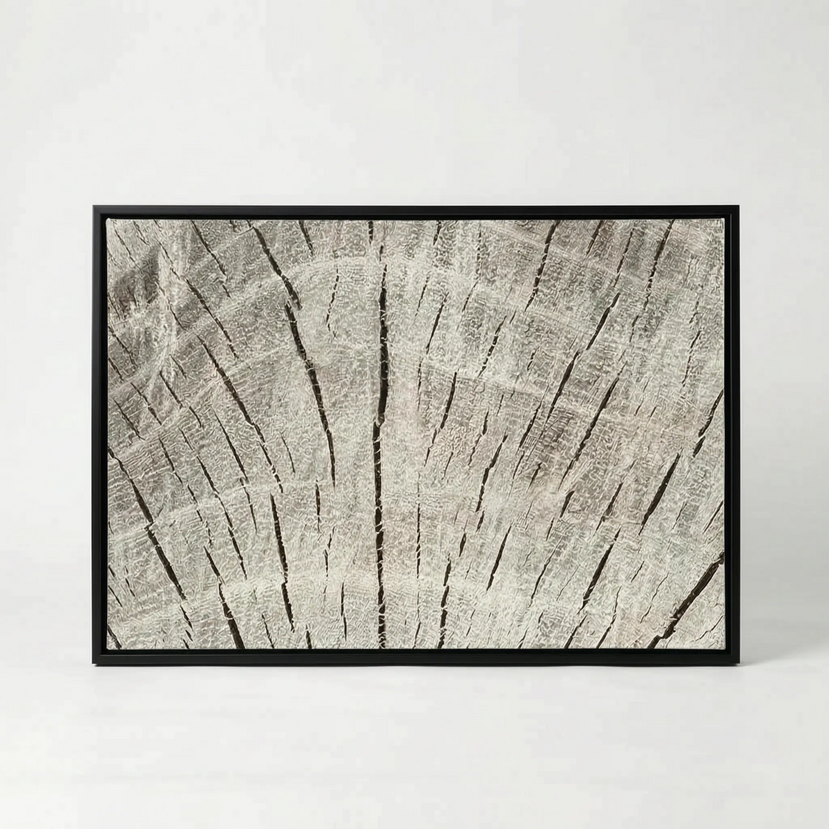 ArboraArt - Abstract Tree Ring Canvas Wall Art